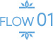 FLOW01